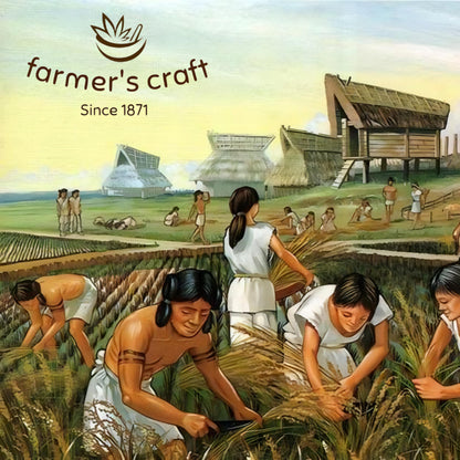 Farmer's Craft natural clay pumice stone product packaging