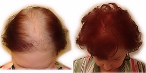 Color selection chart and application guide for hair building fibers
