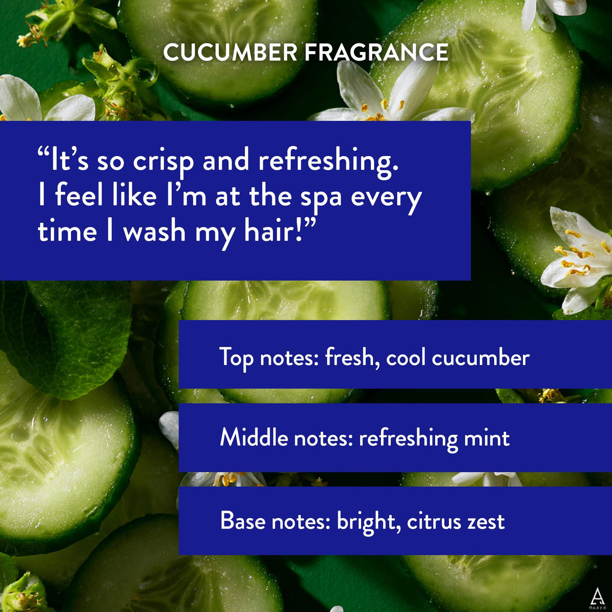 Routine Wellness hair care products displayed on clean background