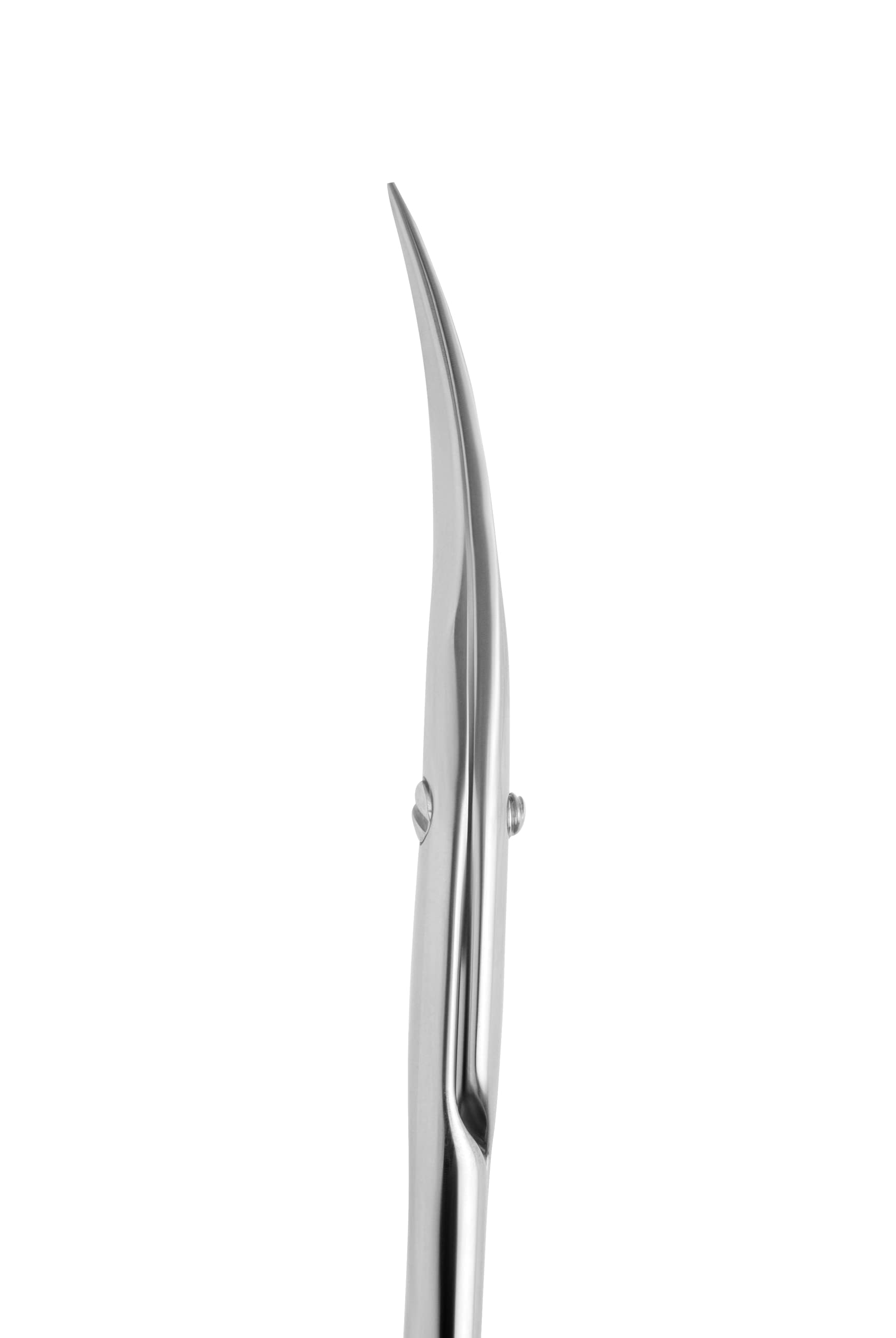 Polished back blade details of Staleks Pro SE-20-2 professional salon grade manicure tools