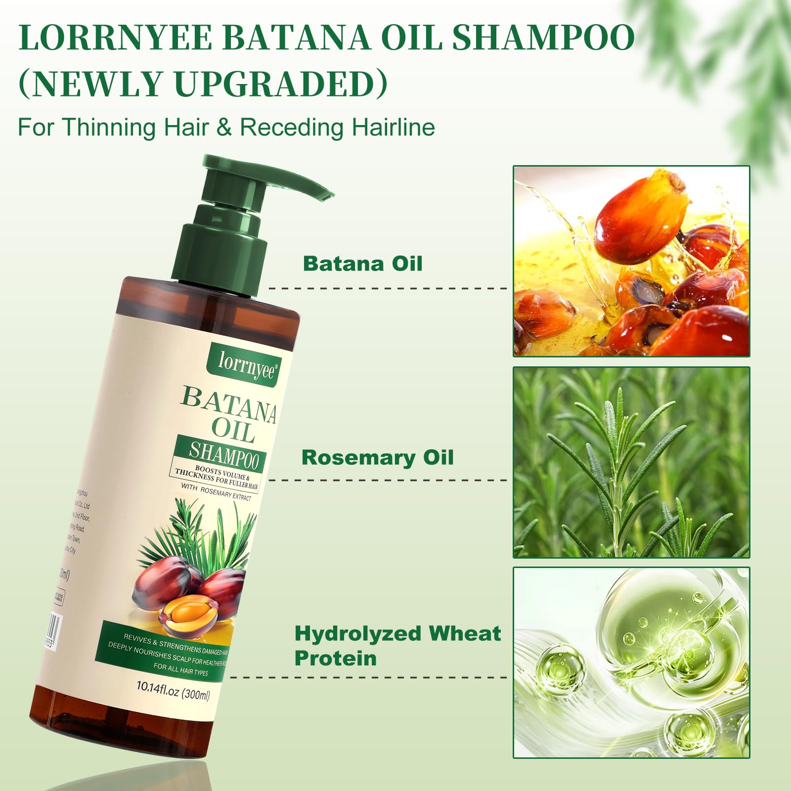 Natural hair care shampoo for men and women suffering from severe hair shedding
