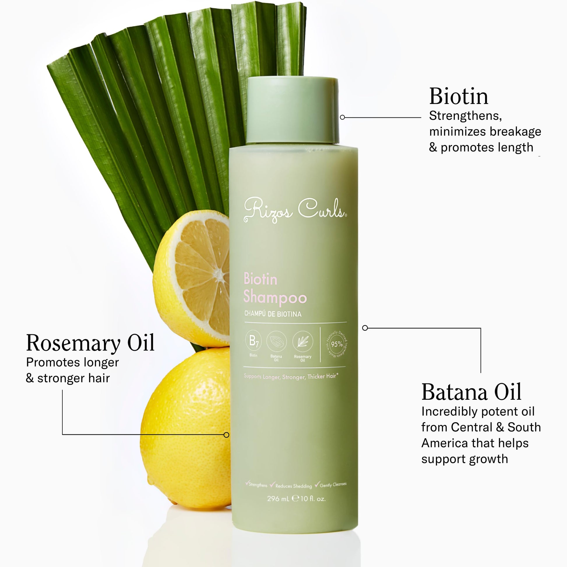 Rizos Curls sulfate free shampoo back label with ingredients list