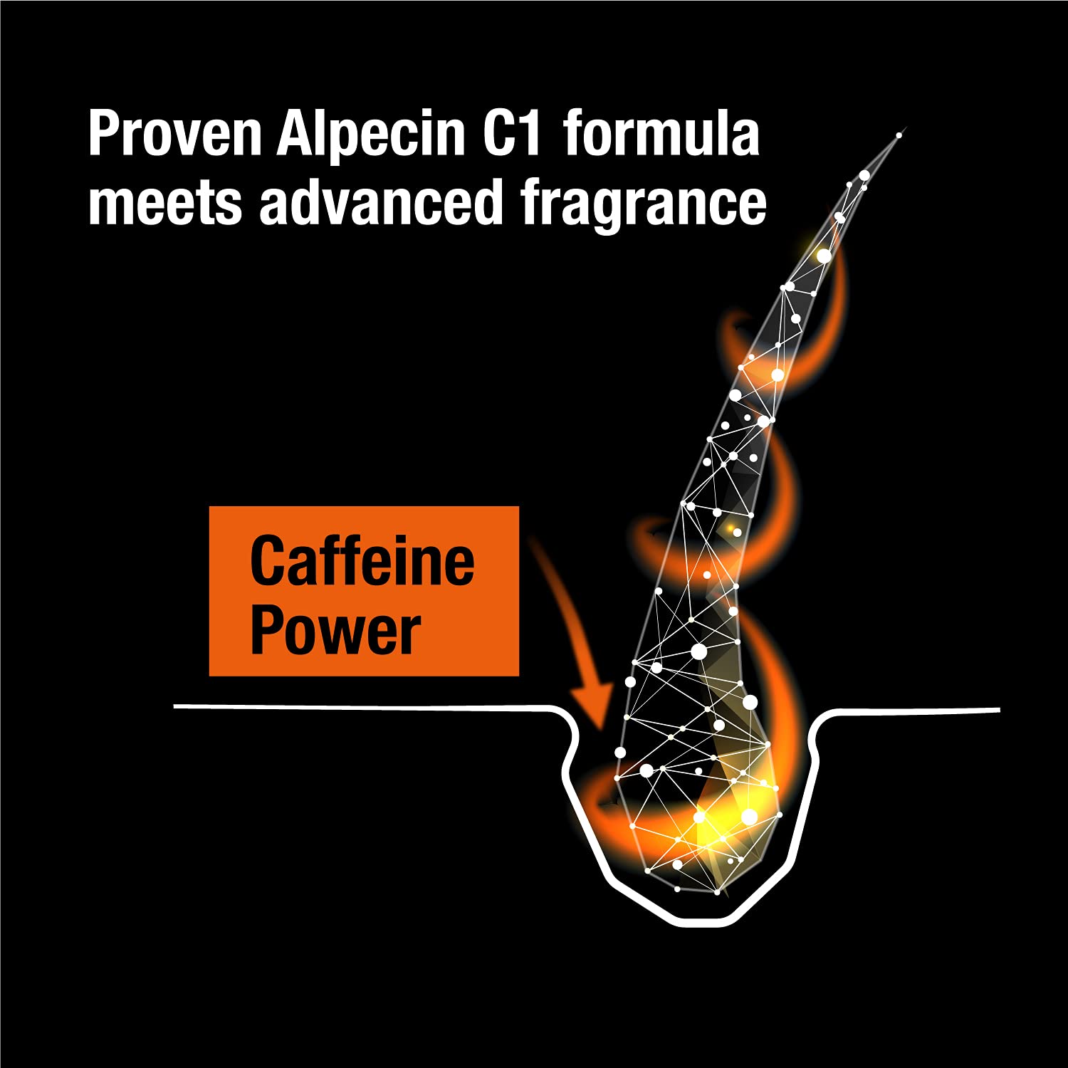 Authentic Alpecin caffeine infused daily performance shampoo for thinning hair