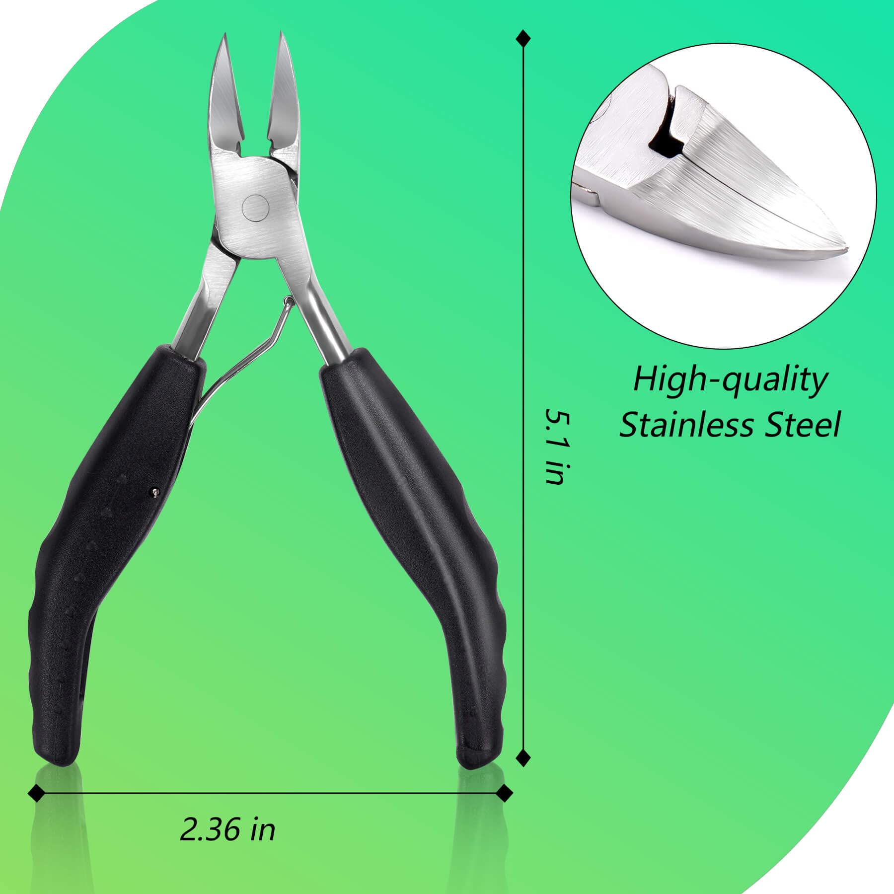 Close up view of the Feiccier stainless steel sharp curved blade