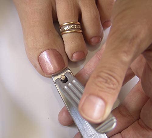Top view of premium Seki Edge Japanese stainless steel clipper