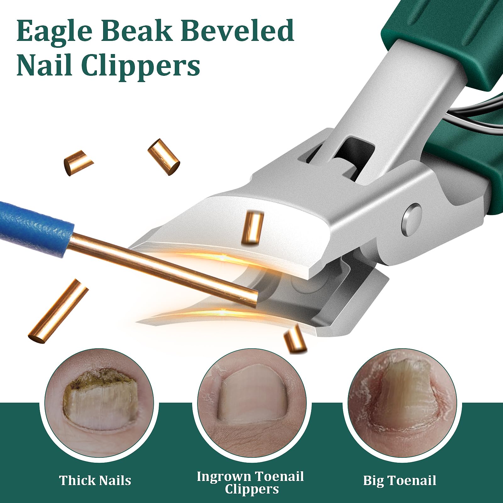 Close up of Xeaejex stainless steel wide jaw nail clipper blade