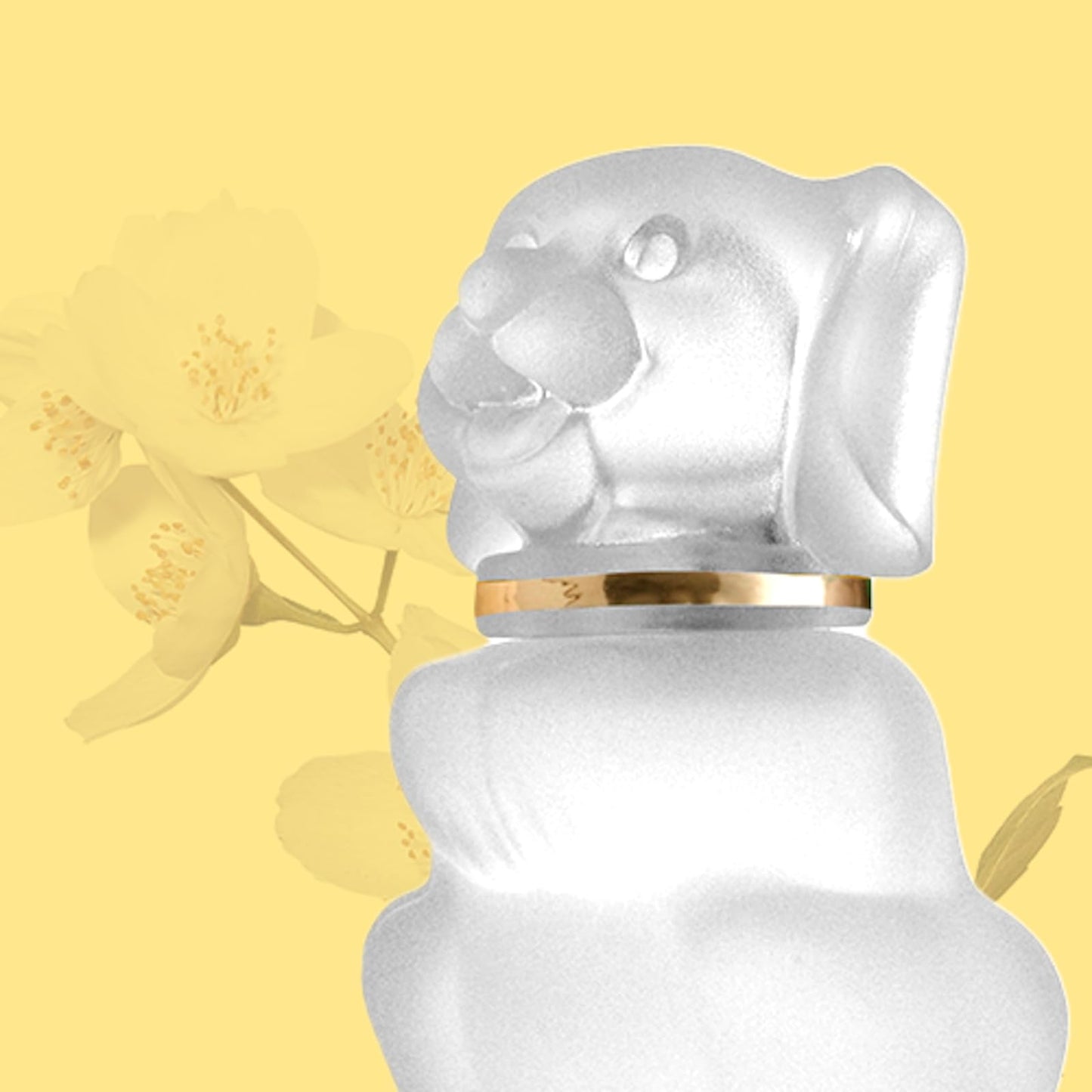 Full product set display of Zermat Baby Boby Cologne imported from the United States
