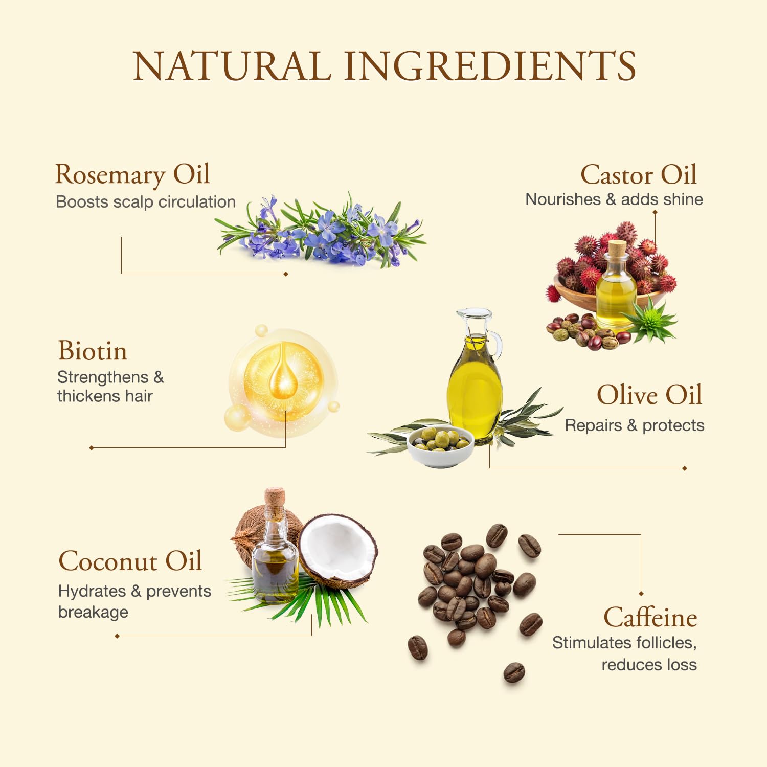 Venanoci scalp treatment oil application instructions on packaging
