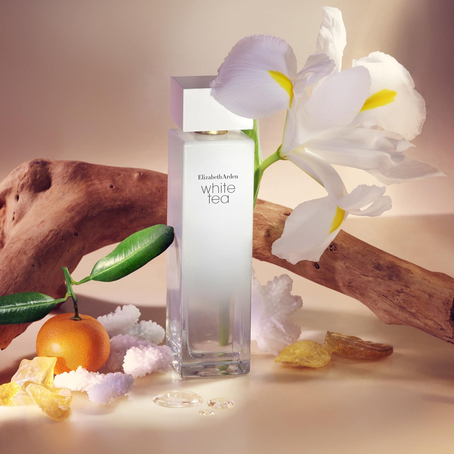 Elizabeth Arden White Tea luxury floral woody musk fragrance bottle close up