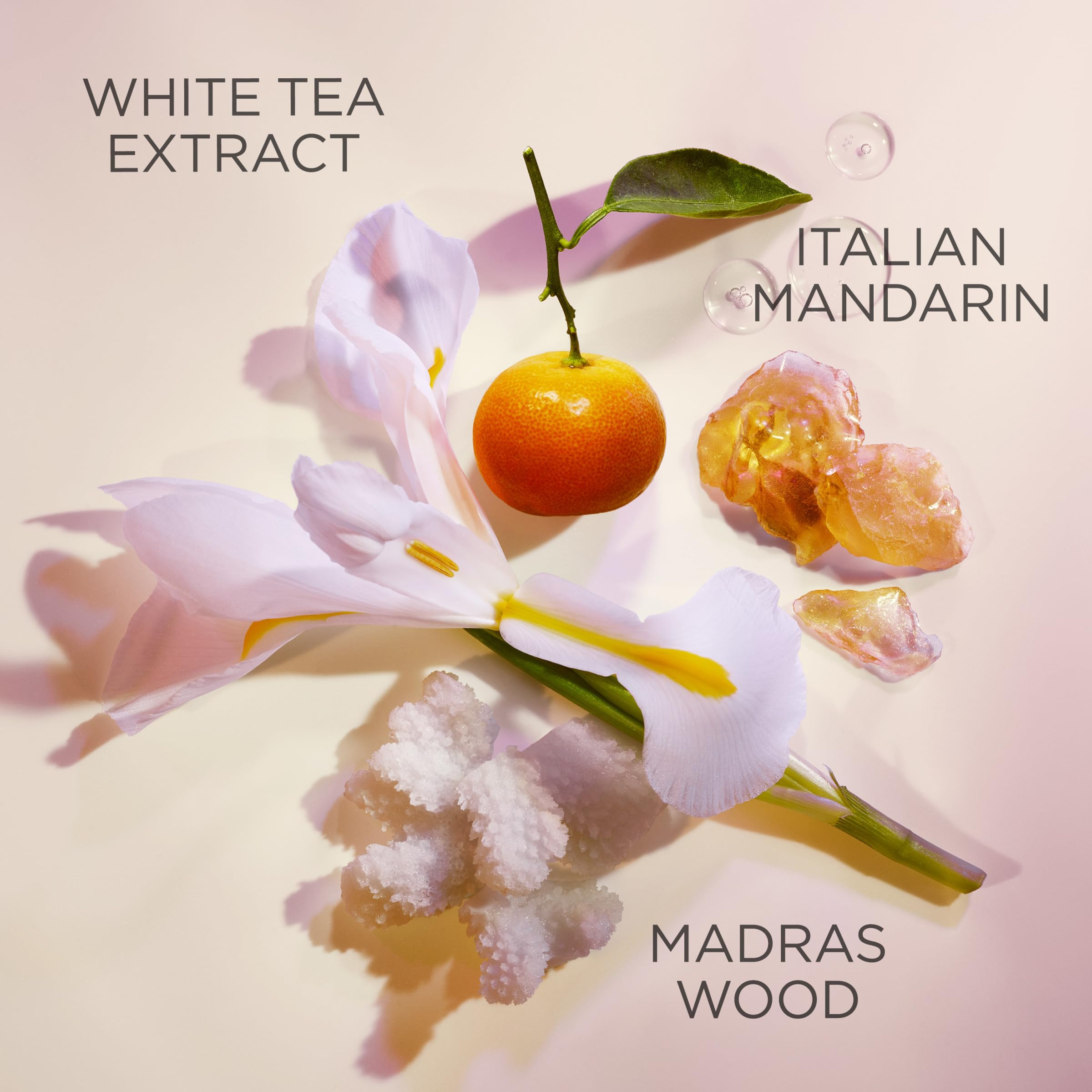 Authentic Elizabeth Arden White Tea 30 milliliter packaging view