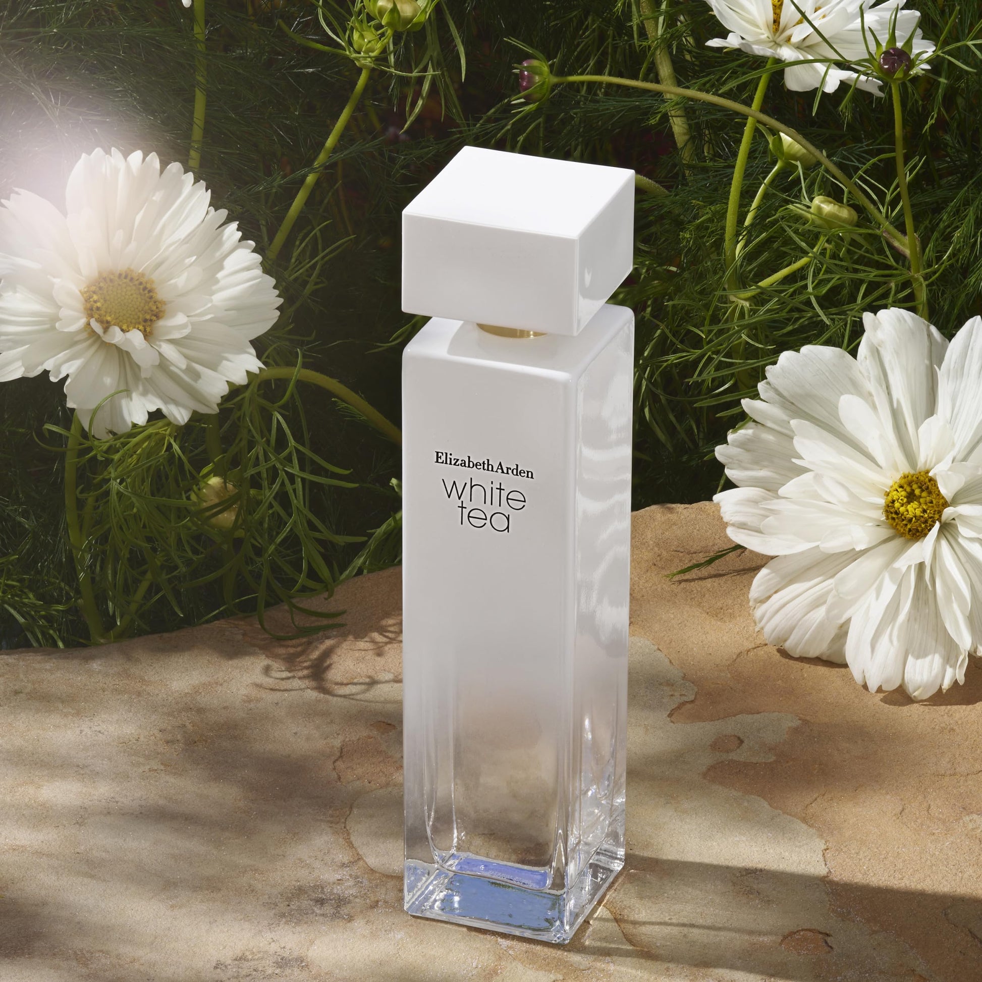 Imported Elizabeth Arden White Tea everyday luxury perfume for women