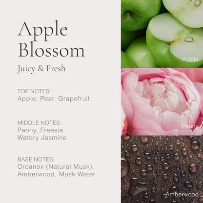 CLEAN CLASSIC Rain and Apple Blossom miniature perfumes held in hand for scale