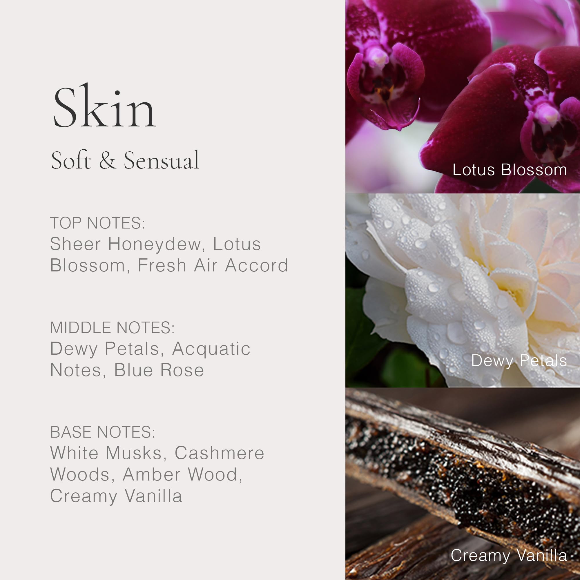 Clean Reserve gift set open showing interior vials