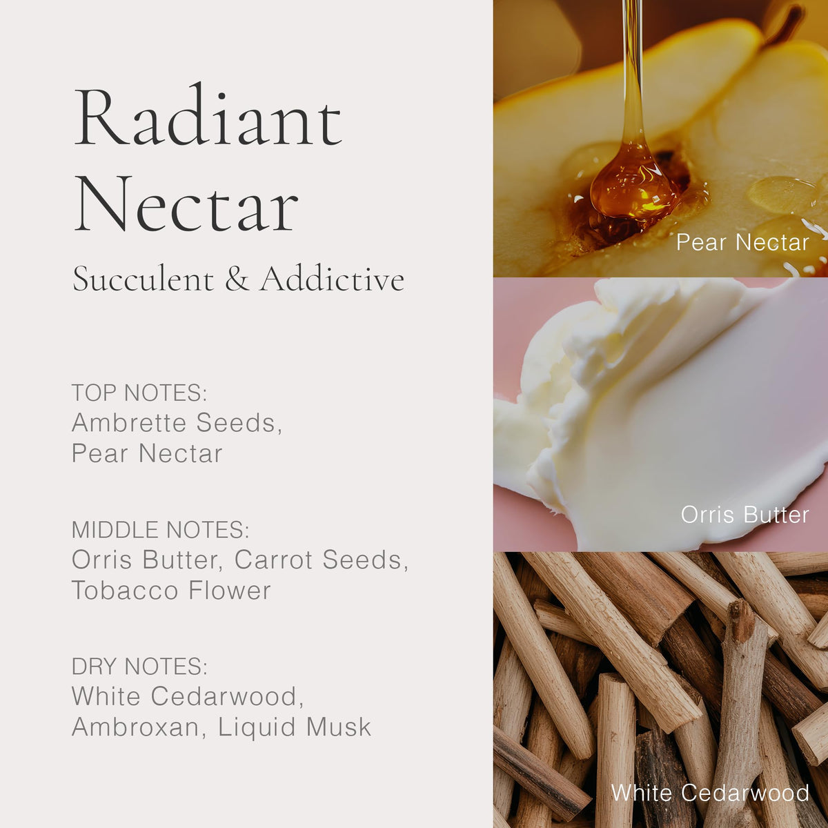 Clean Reserve fragrance discovery set lifestyle presentation