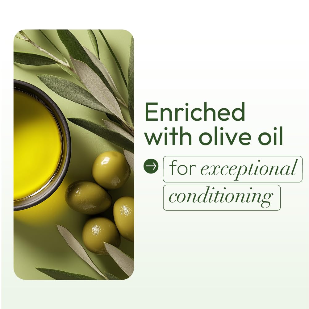 ORS professional style hair straightener kit with built in olive oil defense system