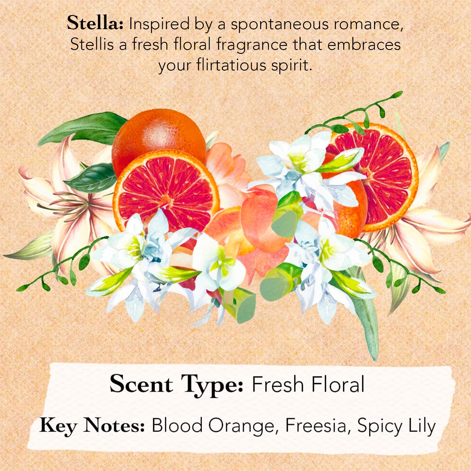 Closer shot of the individual mini luxury perfumes highlighting Cleopatra and Stella options