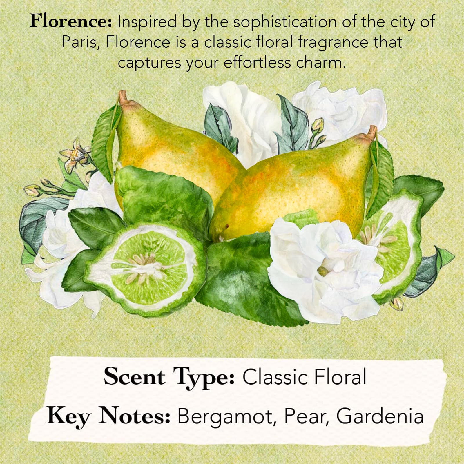 Authentic paraben free luxury perfume set box opened to reveal all eight scent choices inside