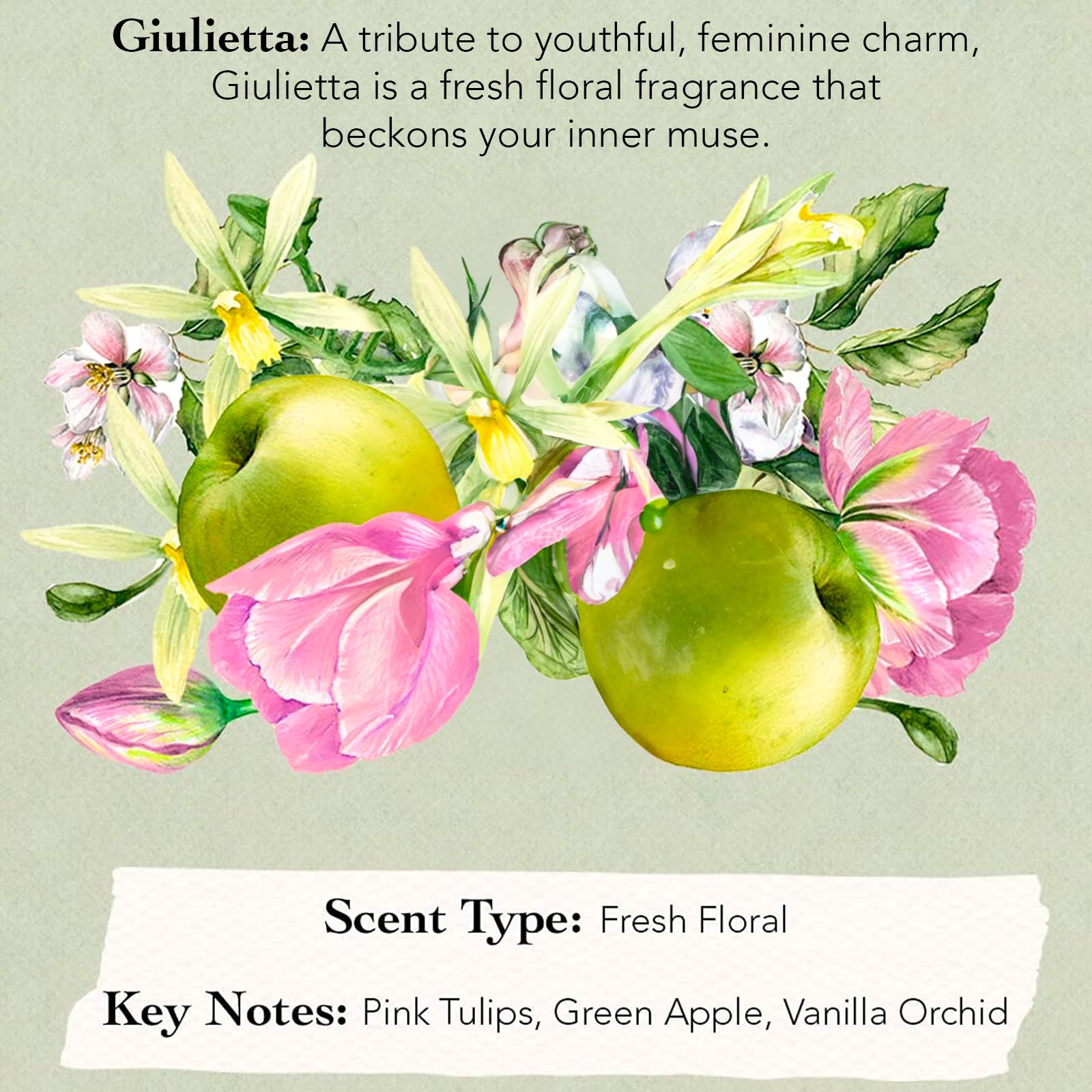 Back of the Tocca sample kit displaying ingredient listings and clean beauty certifications