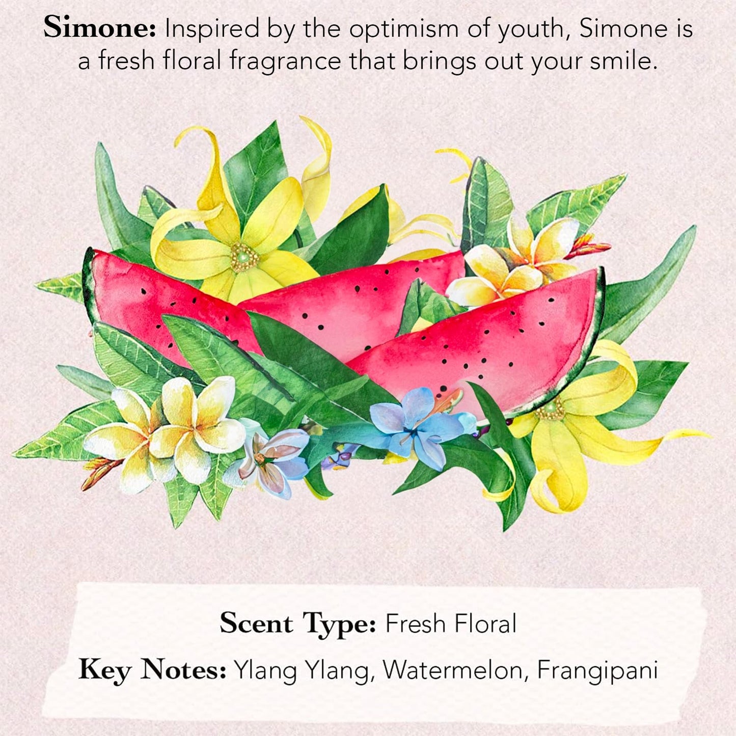Premium gift ready box layout of the premium USA imported women fragrance sampler collection