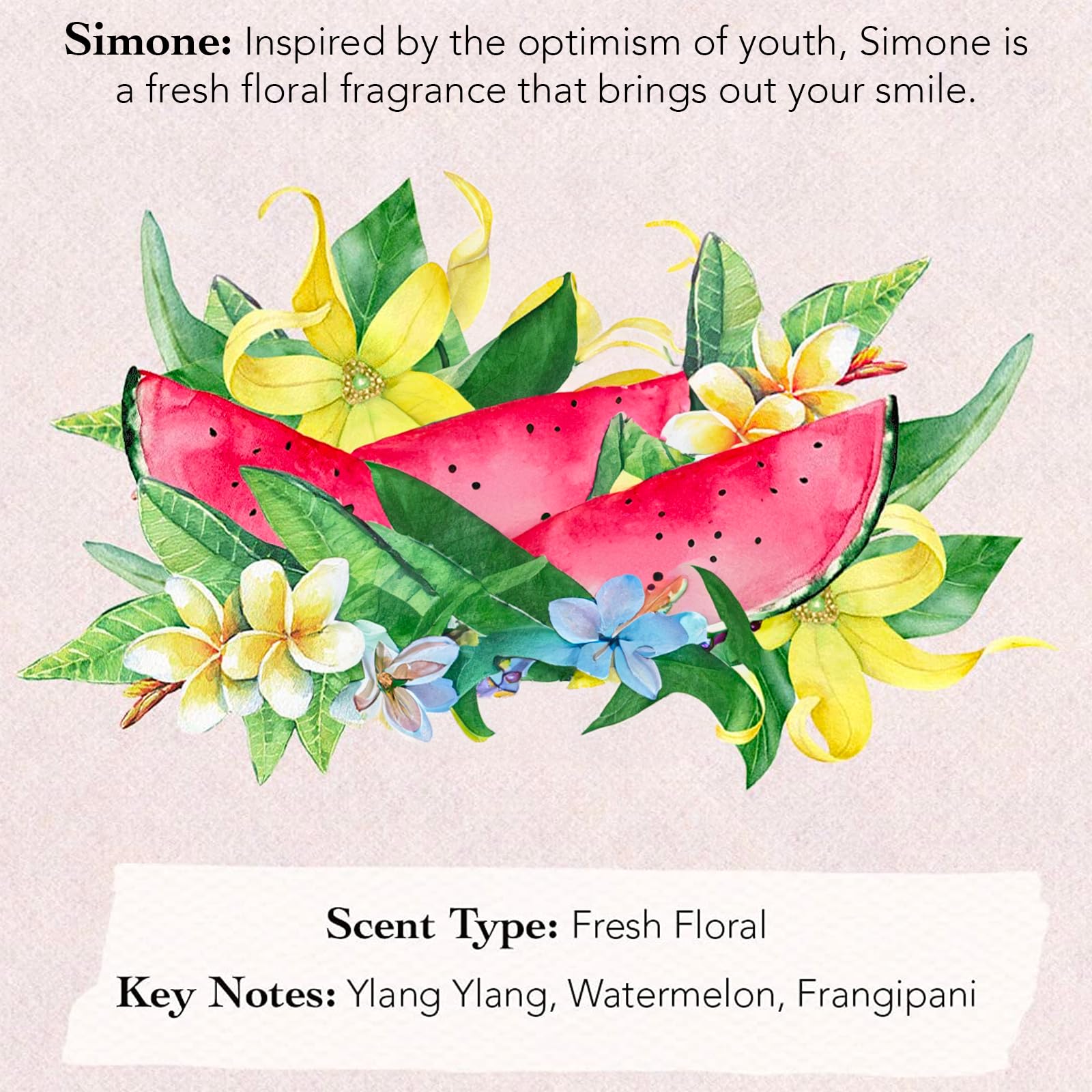 Premium gift ready box layout of the premium USA imported women fragrance sampler collection