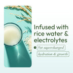 Authentic ORS rice water hair cream for professional styling preparation