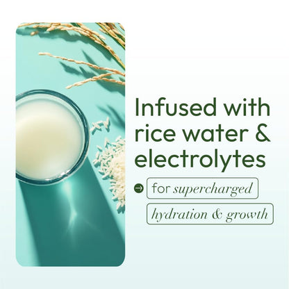 Authentic ORS rice water hair cream for professional styling preparation