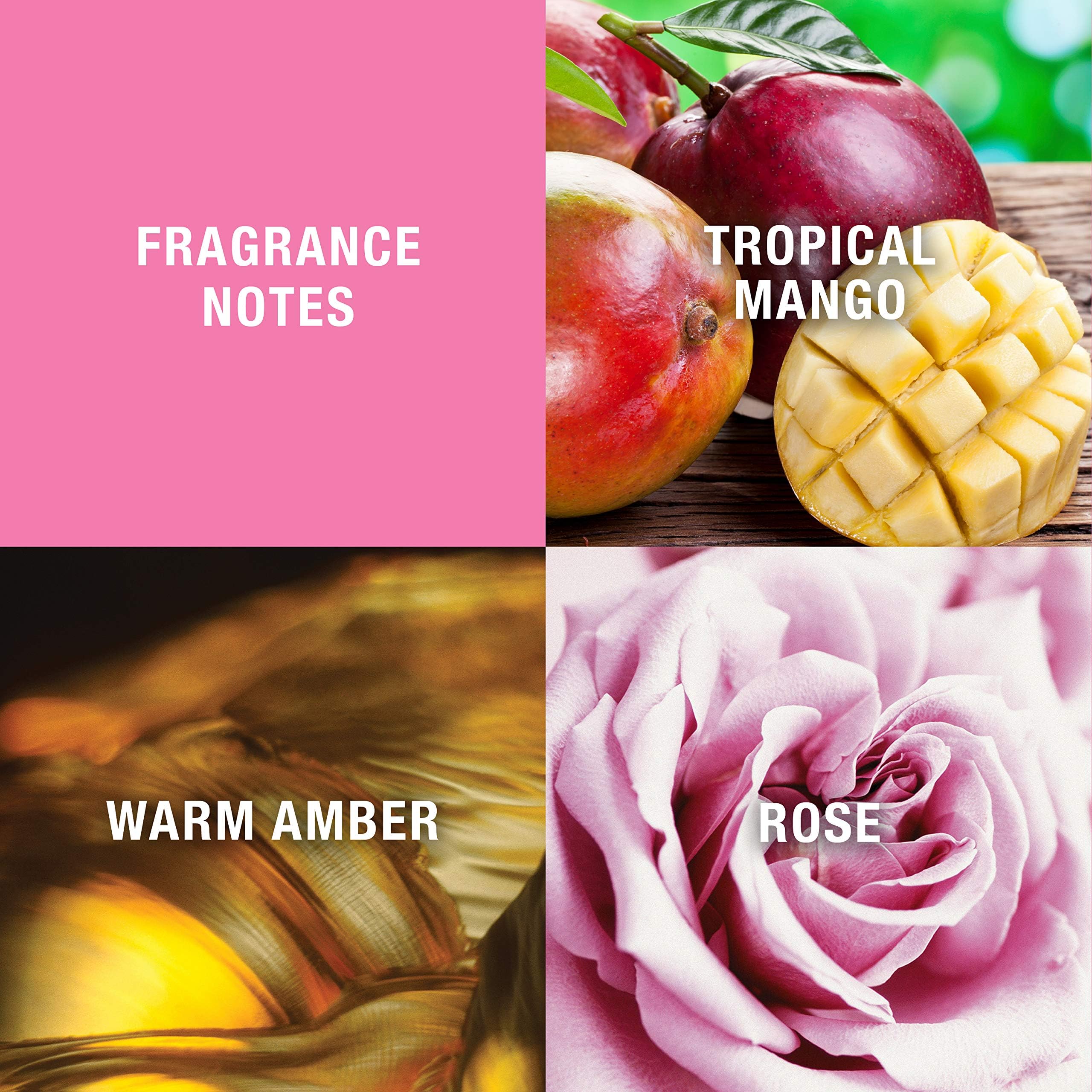 The two piece women's fragrance collection showcasing the relative sizes of the spray and body mist