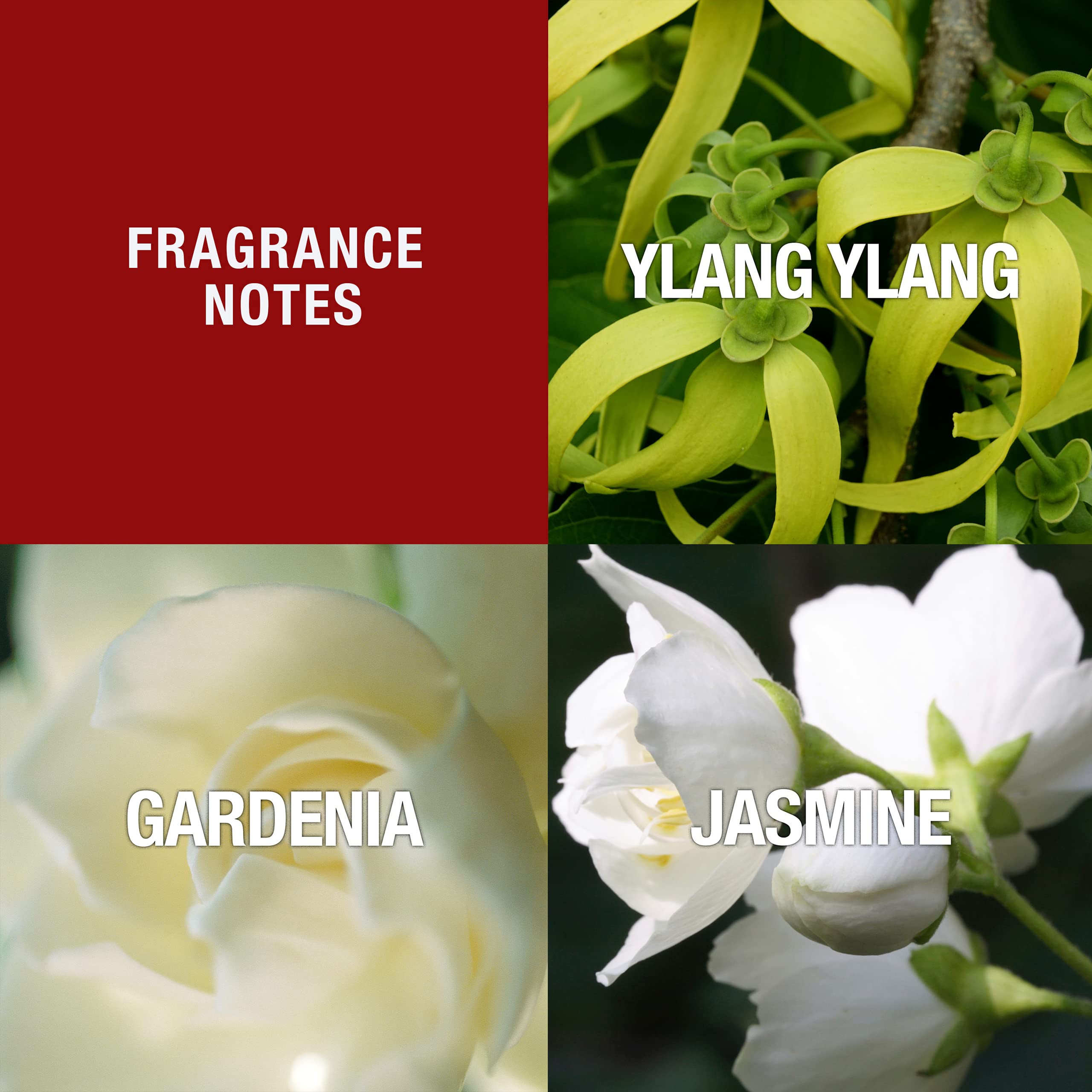 Paul Sebastian Design oriental floral fragrance spray packaging