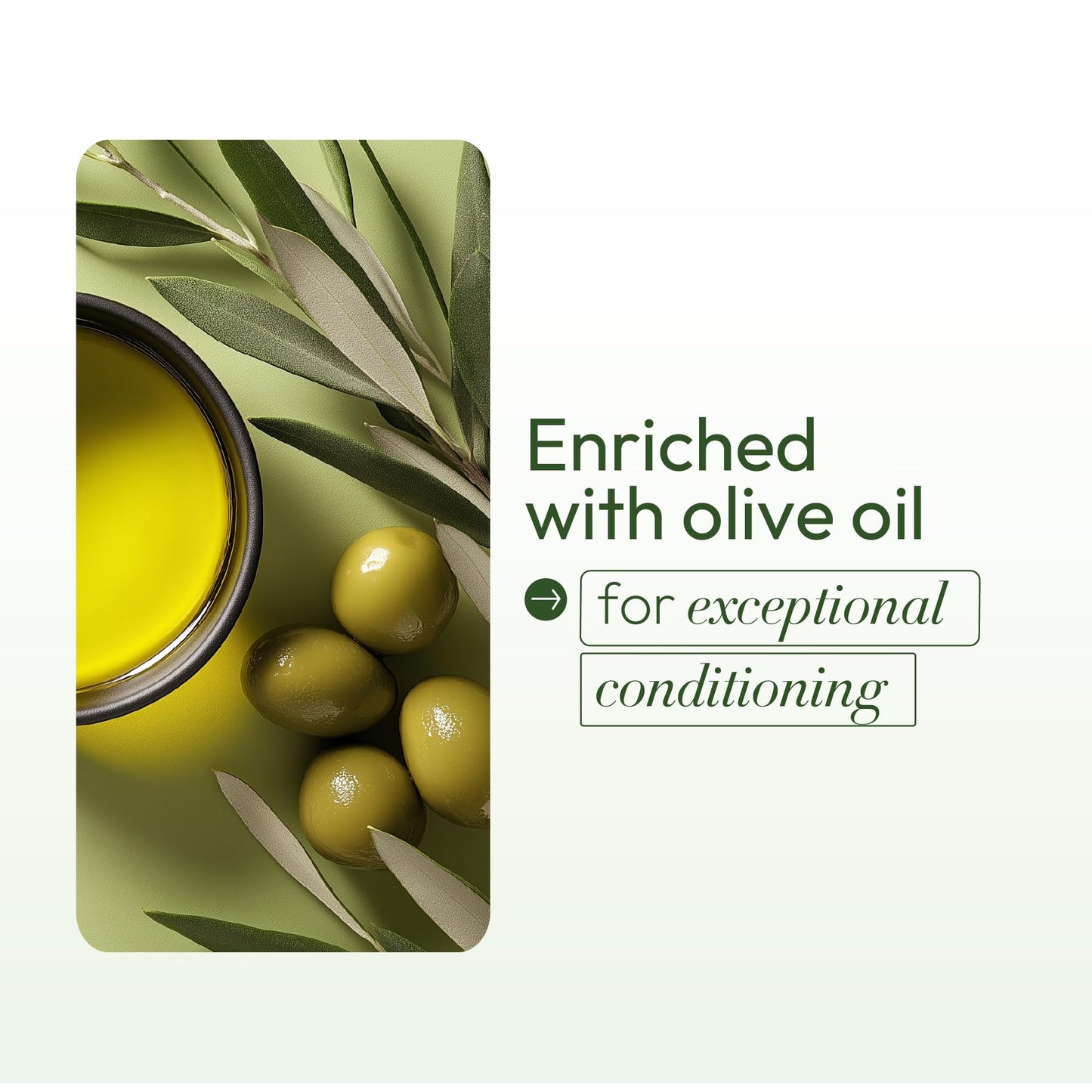 ORS Olive Oil normal strength full application relaxer pack of two lifestyle product display