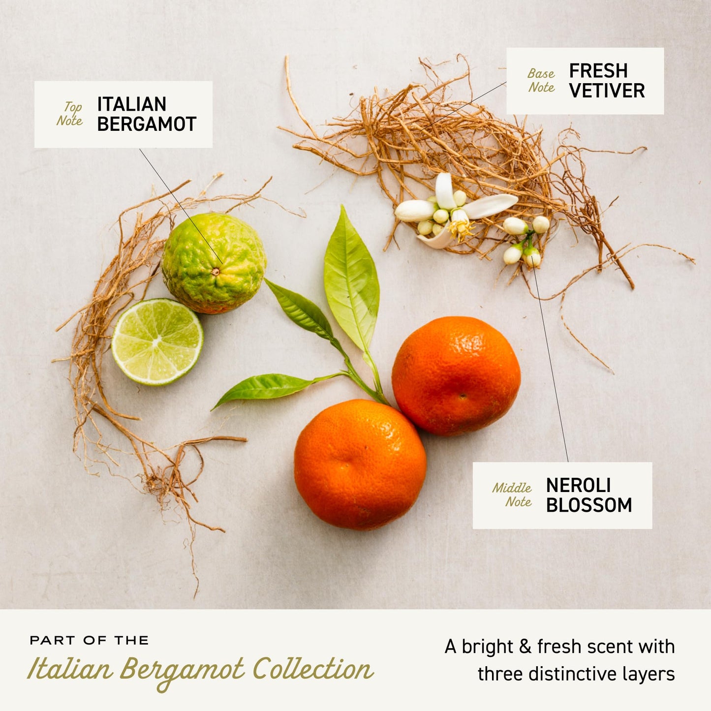 Back of the Cremo Italian Bergamot gift box showing product details