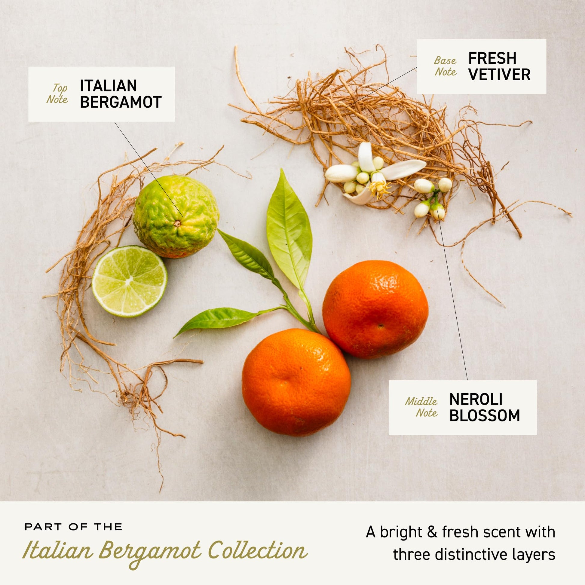 Back of the Cremo Italian Bergamot gift box showing product details