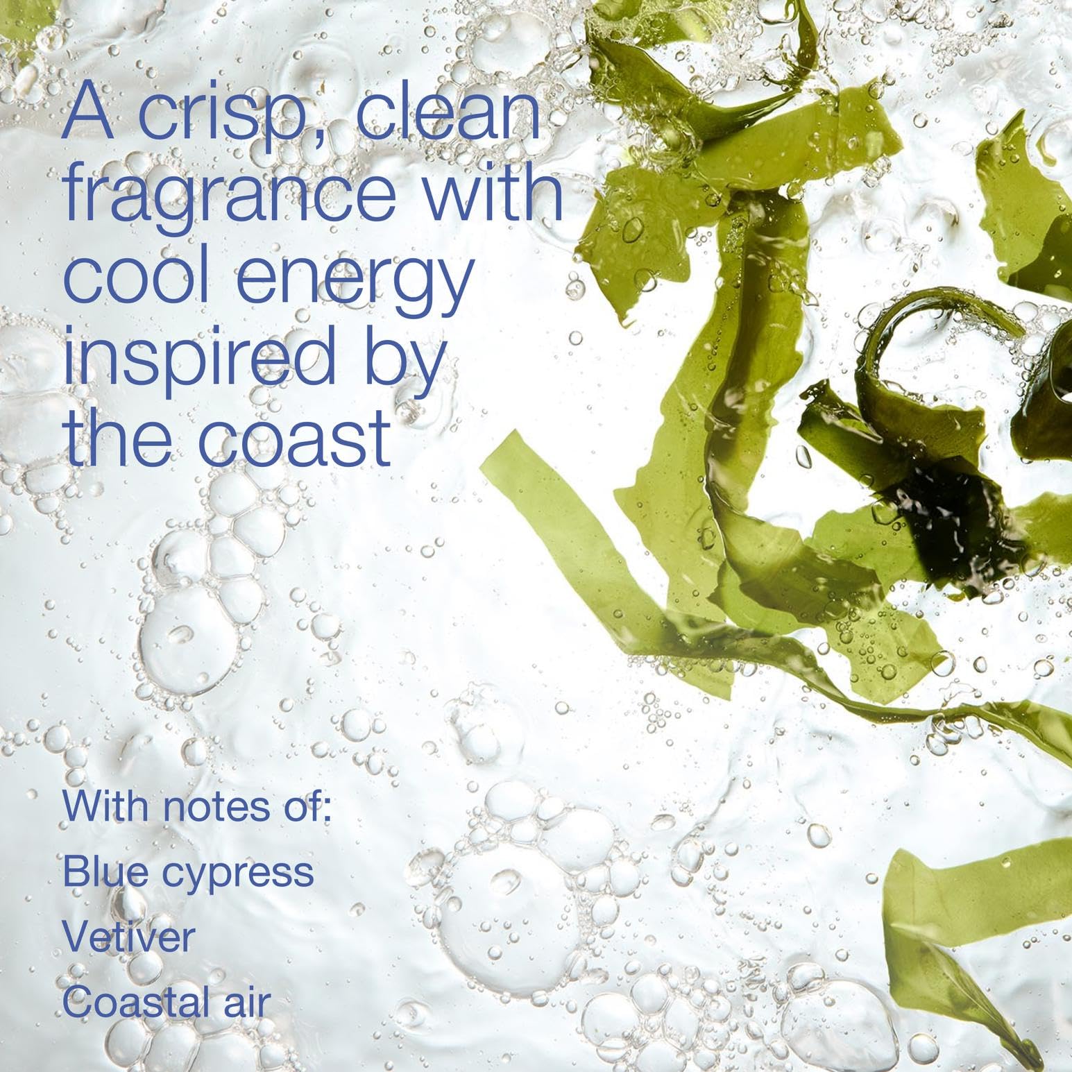 Side profile of Bath and Body Works Ocean cologne bottle