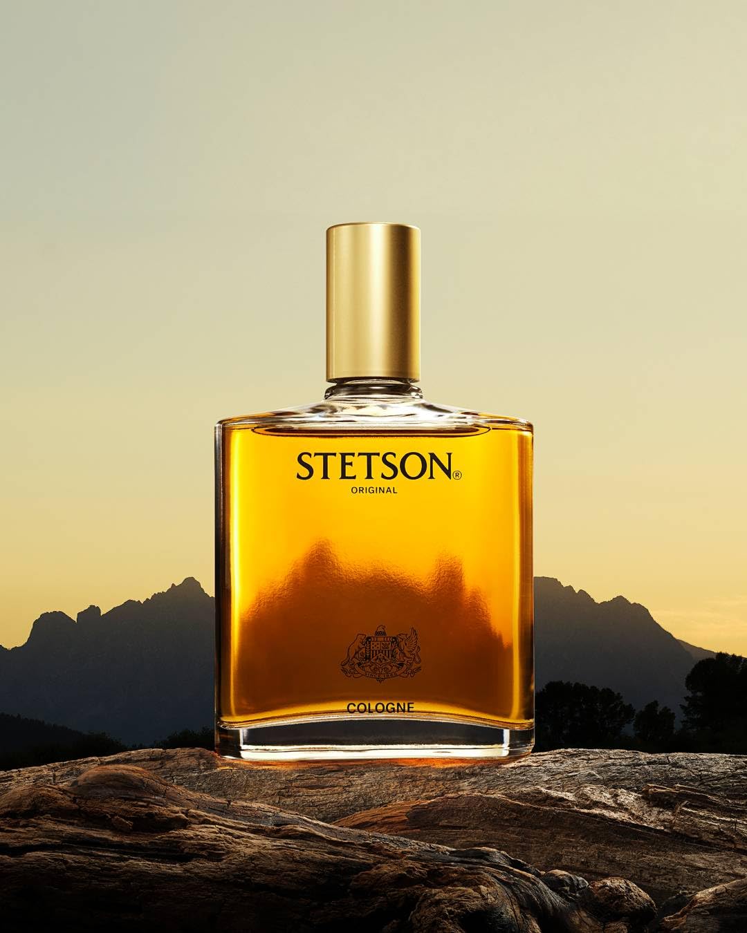 Stetson by Scent Beauty cologne for men showing the top spray nozzle mechanism and packaging text details