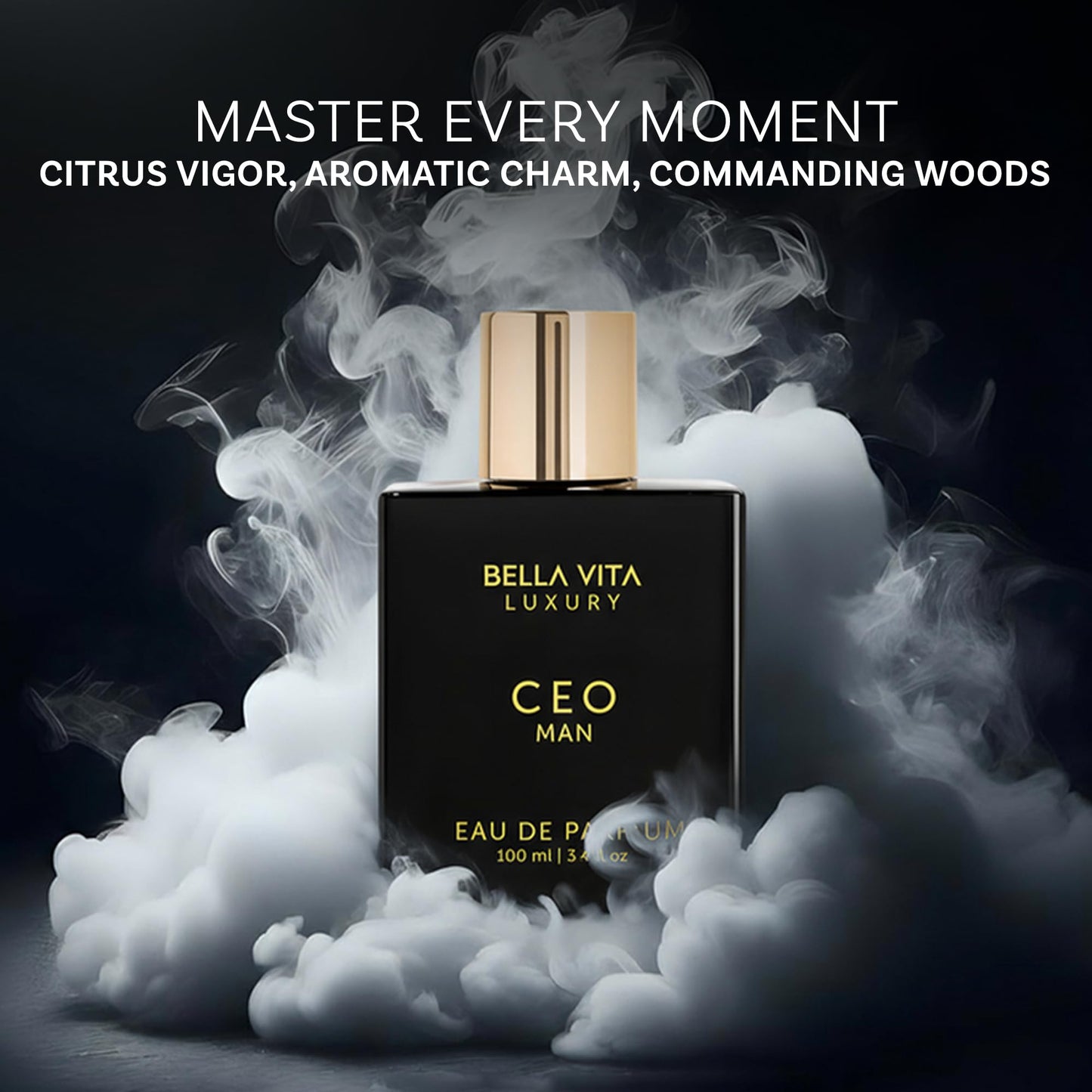 Bella Vita Luxury CEO Man perfume branding details
