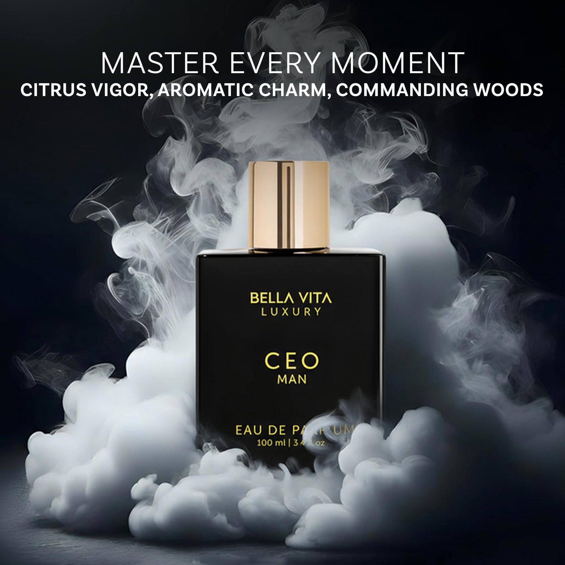Bella Vita Luxury CEO Man perfume branding details