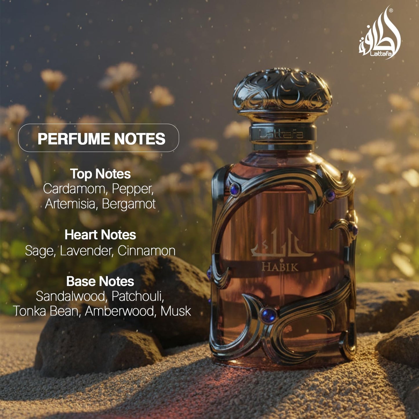 Lattafa Habik cologne bottle showing liquid clarity and premium branding