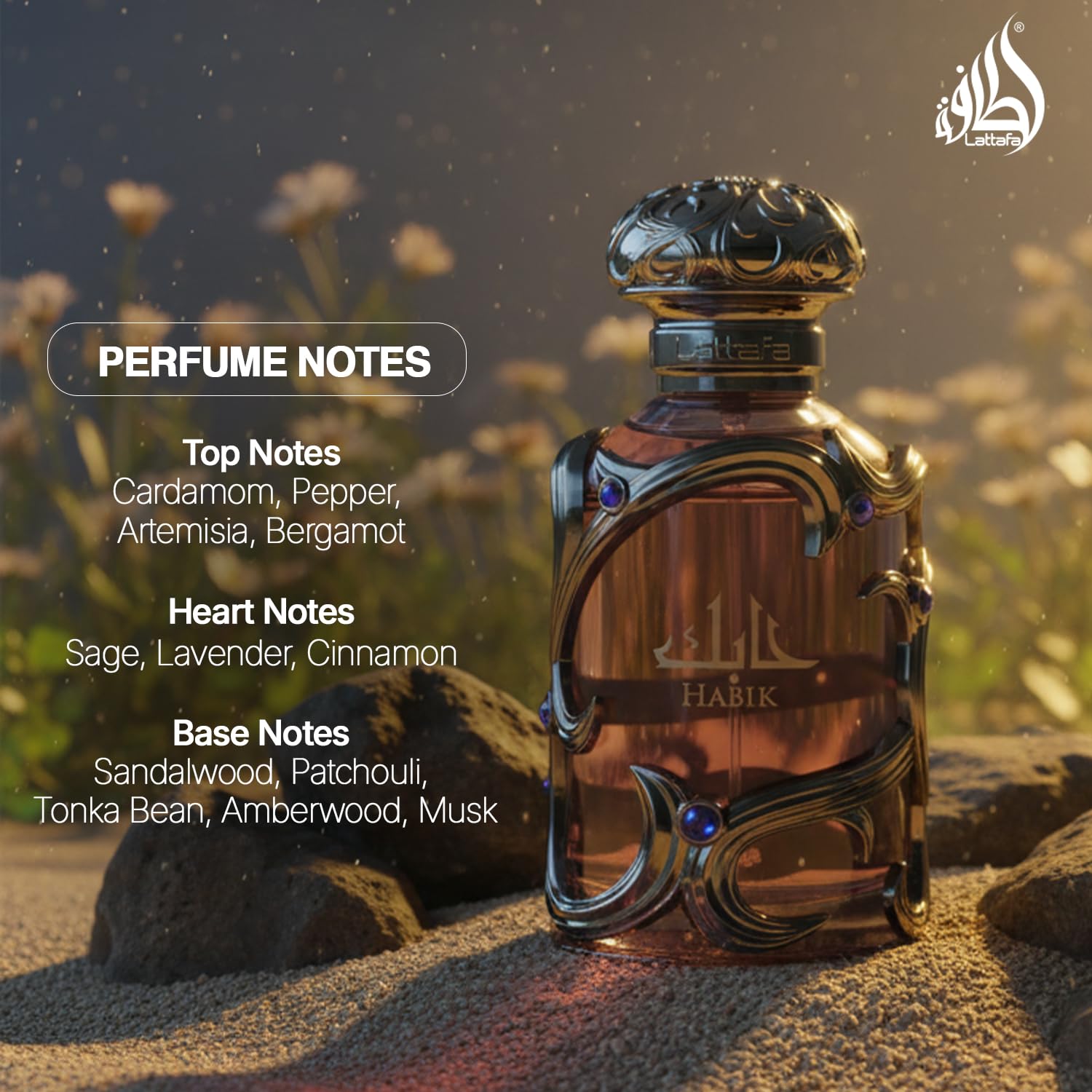 Lattafa Habik cologne bottle showing liquid clarity and premium branding