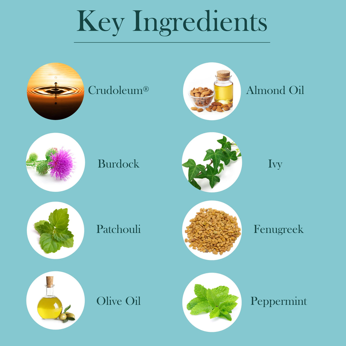 Close up of Baar Crudoleum shampoo label and ingredients