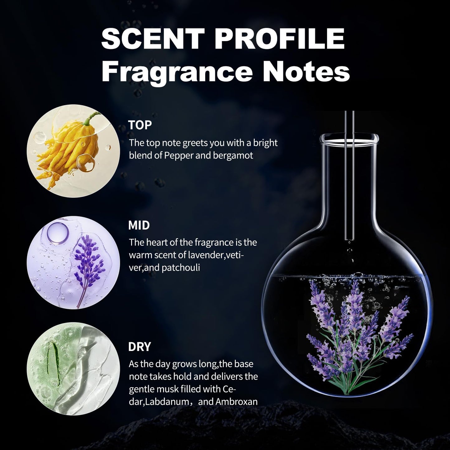 Philo Mone long lasting masculine holiday gift fragrance packaging box view