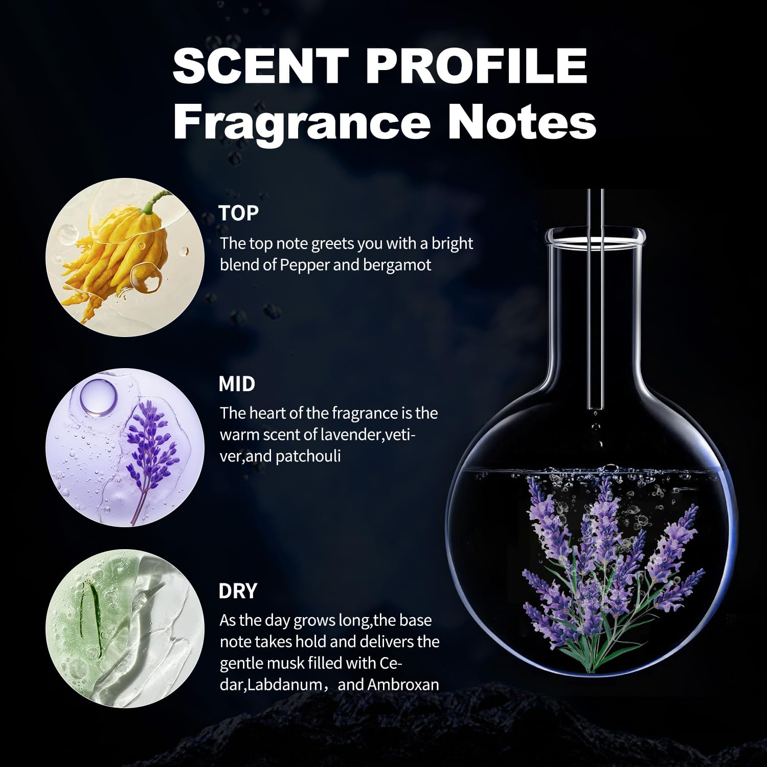 Philo Mone long lasting masculine holiday gift fragrance packaging box view