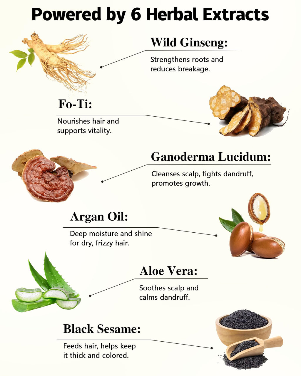 Step by step application guide for using the paraben free hair dye shampoo safely