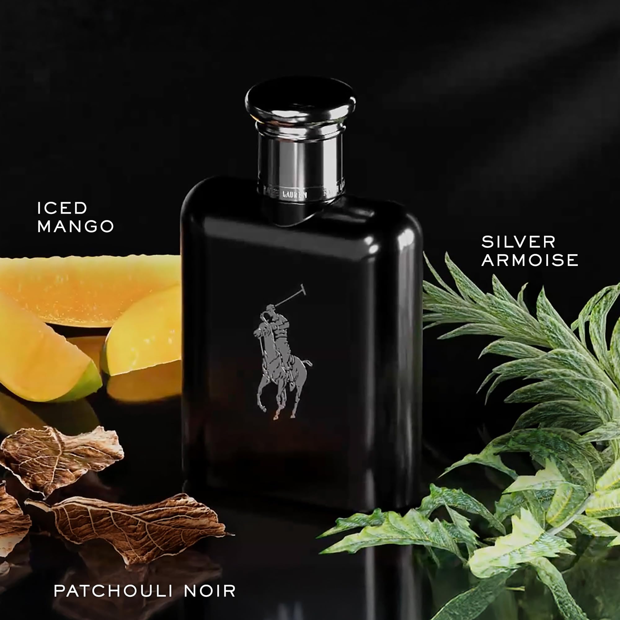 Sleek black glass bottle of Ralph Lauren Polo Black cologne standing upright