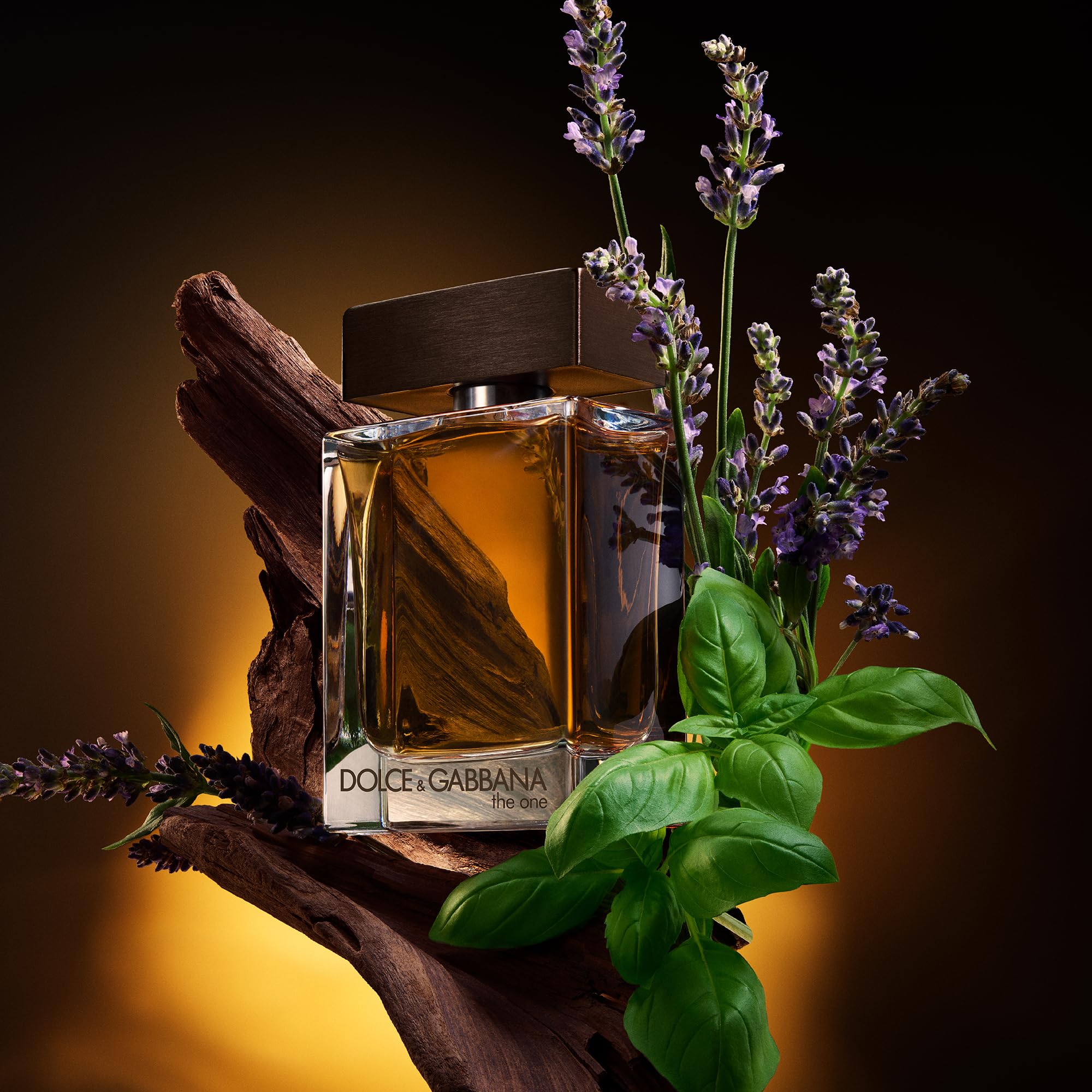 Side profile view of the authentic Dolce and Gabbana luxury men fragrance bottle.