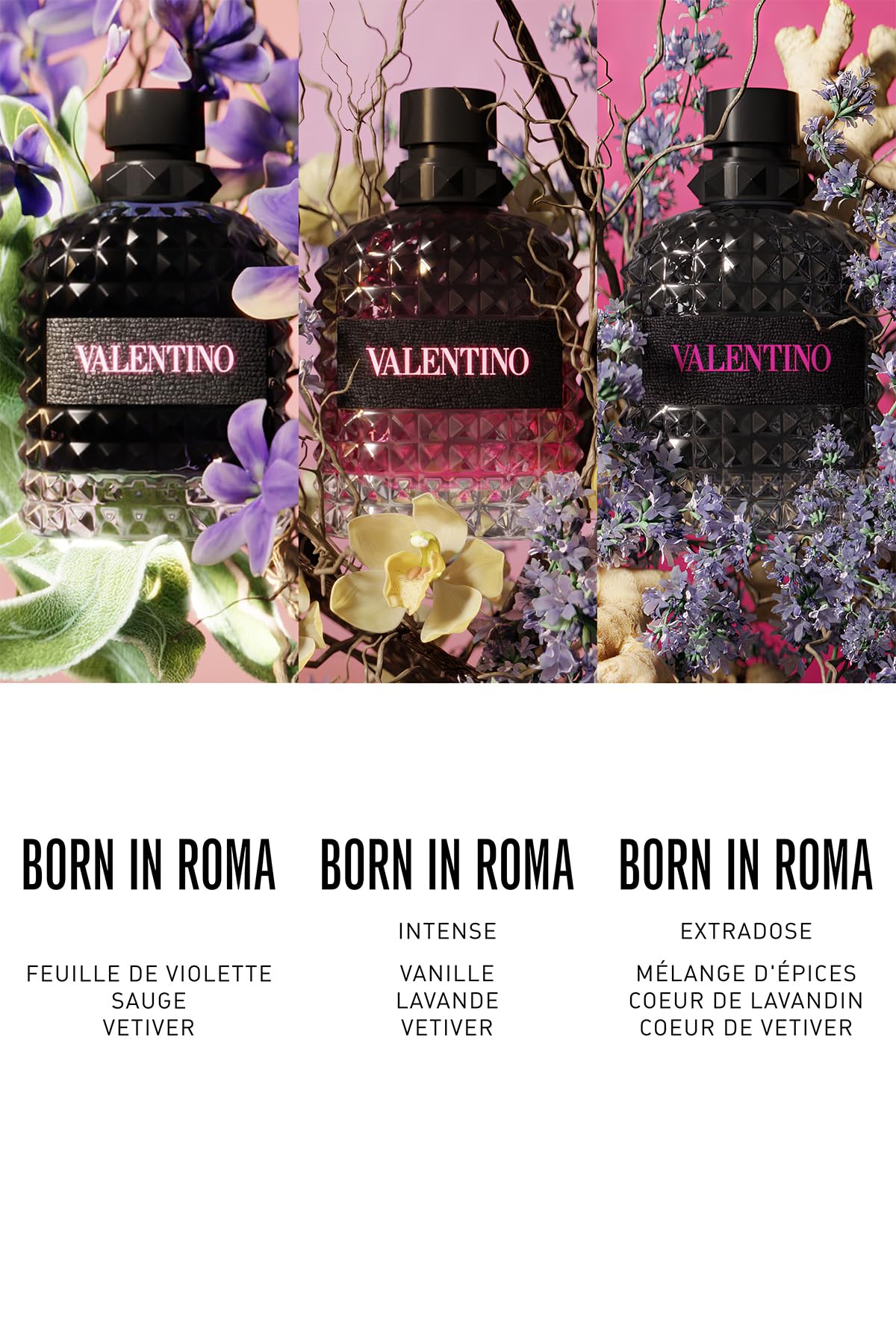 Valentino Uomo Born In Roma masculine woody aromatic designer fragrance profile display