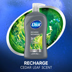 Back label of Dial Men Recharge 3-in-1 cleanser showing ingredients