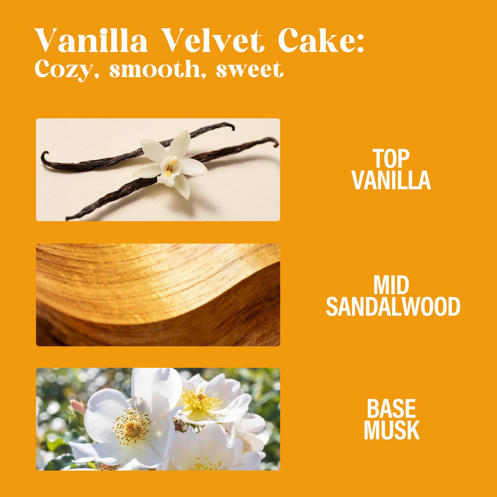 Aqua Blance Vanilla Velvet Cake 3.4 fluid ounces bottle showcasing the golden-colored warm vanilla gourmand liquid.