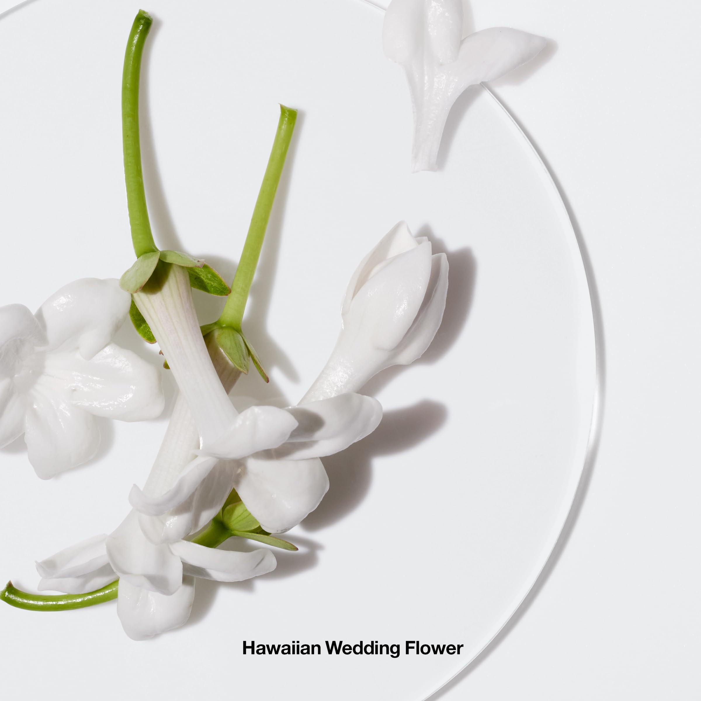 Clinique Happy fragrance collection spray bottle on a clean minimalist backdrop