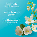 Authentic USA imported Body Fantasies white musk spray