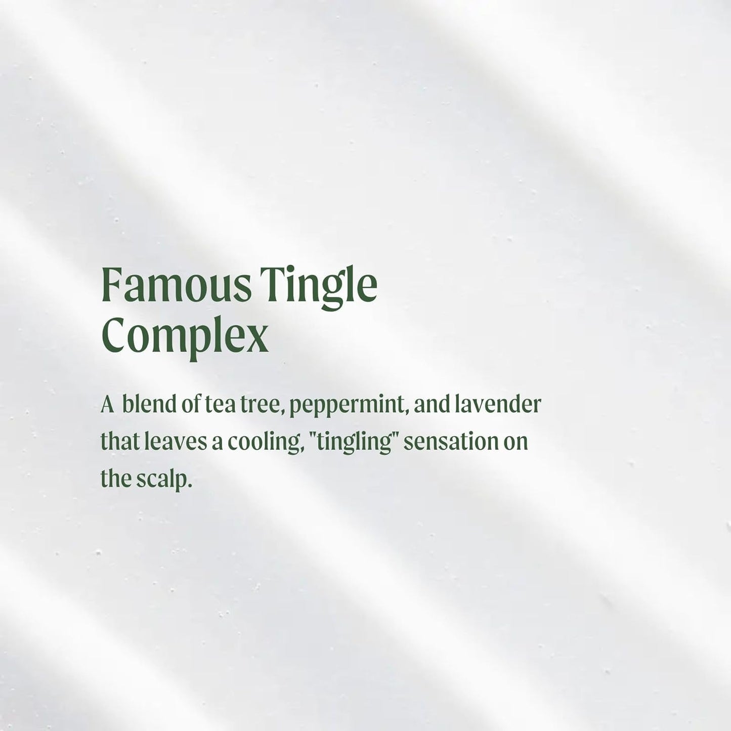 Paul Mitchell Tea Tree Special Conditioner branding and label