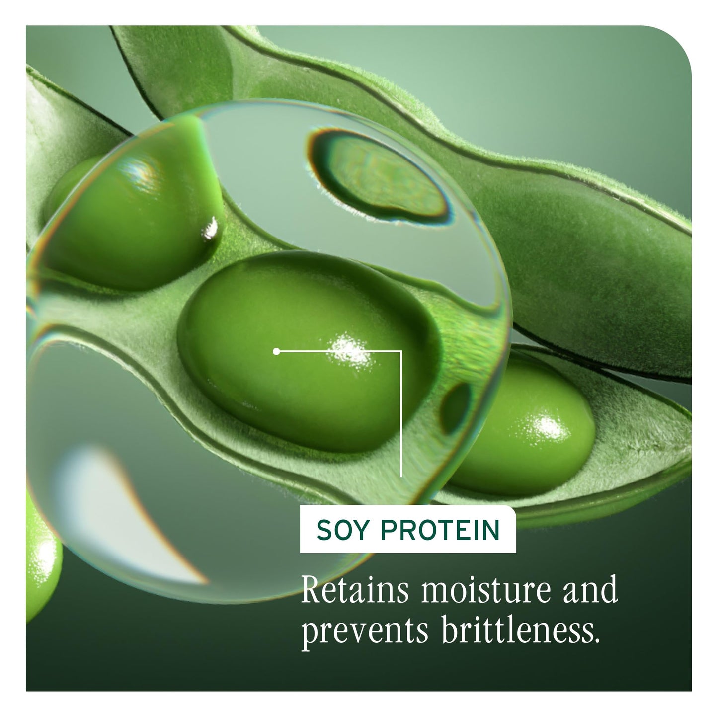 Side profile of Biolage volumizing conditioner for fine hair